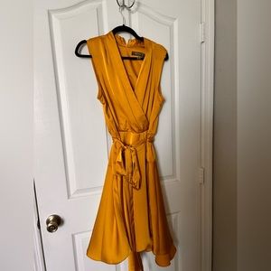 Never worn! Satin Flare dress